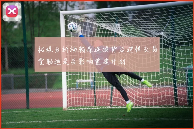 拓媒分析杨瀚森选拔背后逻辑交易霍勒迪是否影响重建计划