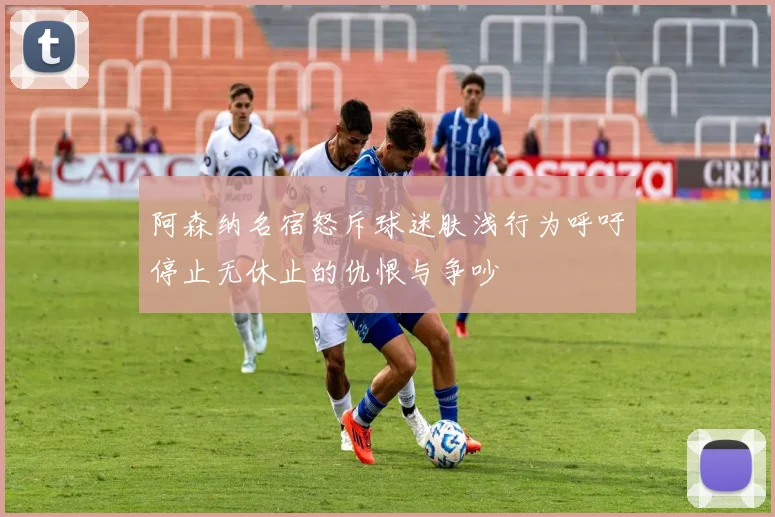 阿森纳名宿怒斥球迷肤浅行为呼吁停止无休止的仇恨与争吵
